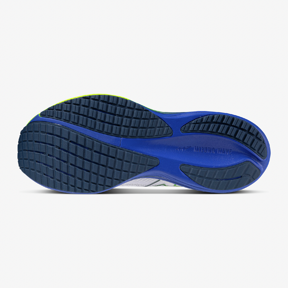 Mizuno wave rider 29