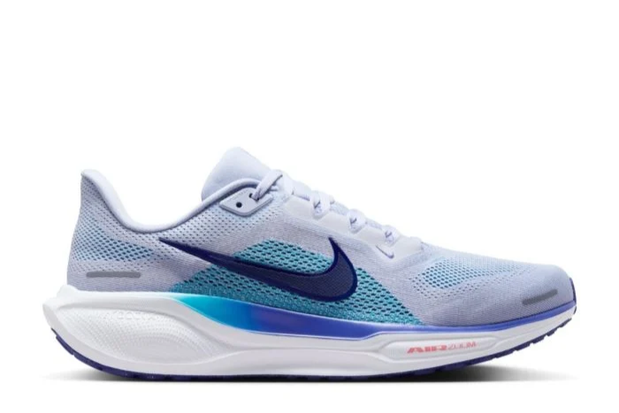 Nike Air Pegasus 41