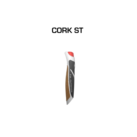 TSL Baton Marche Nordique C100