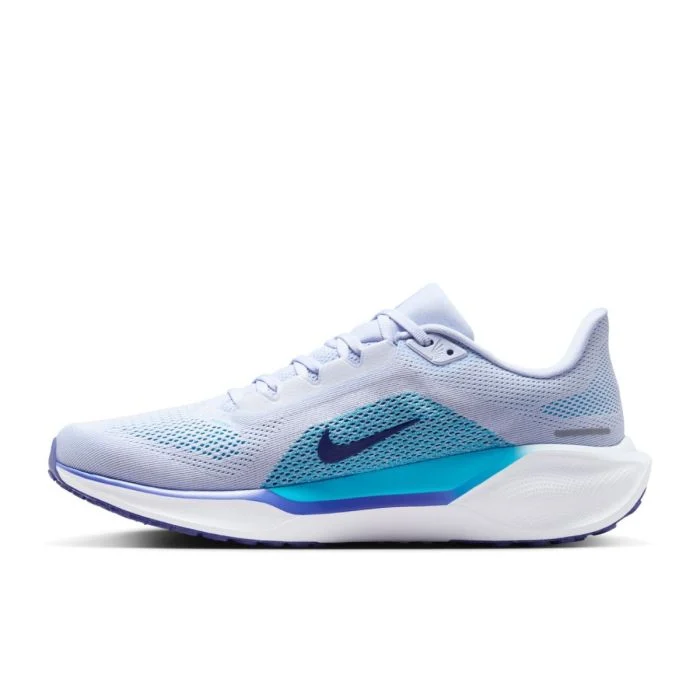 Nike Air Pegasus 41