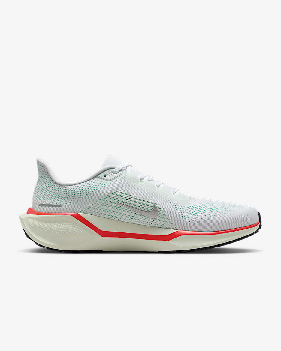 Nike Air Pegasus 41